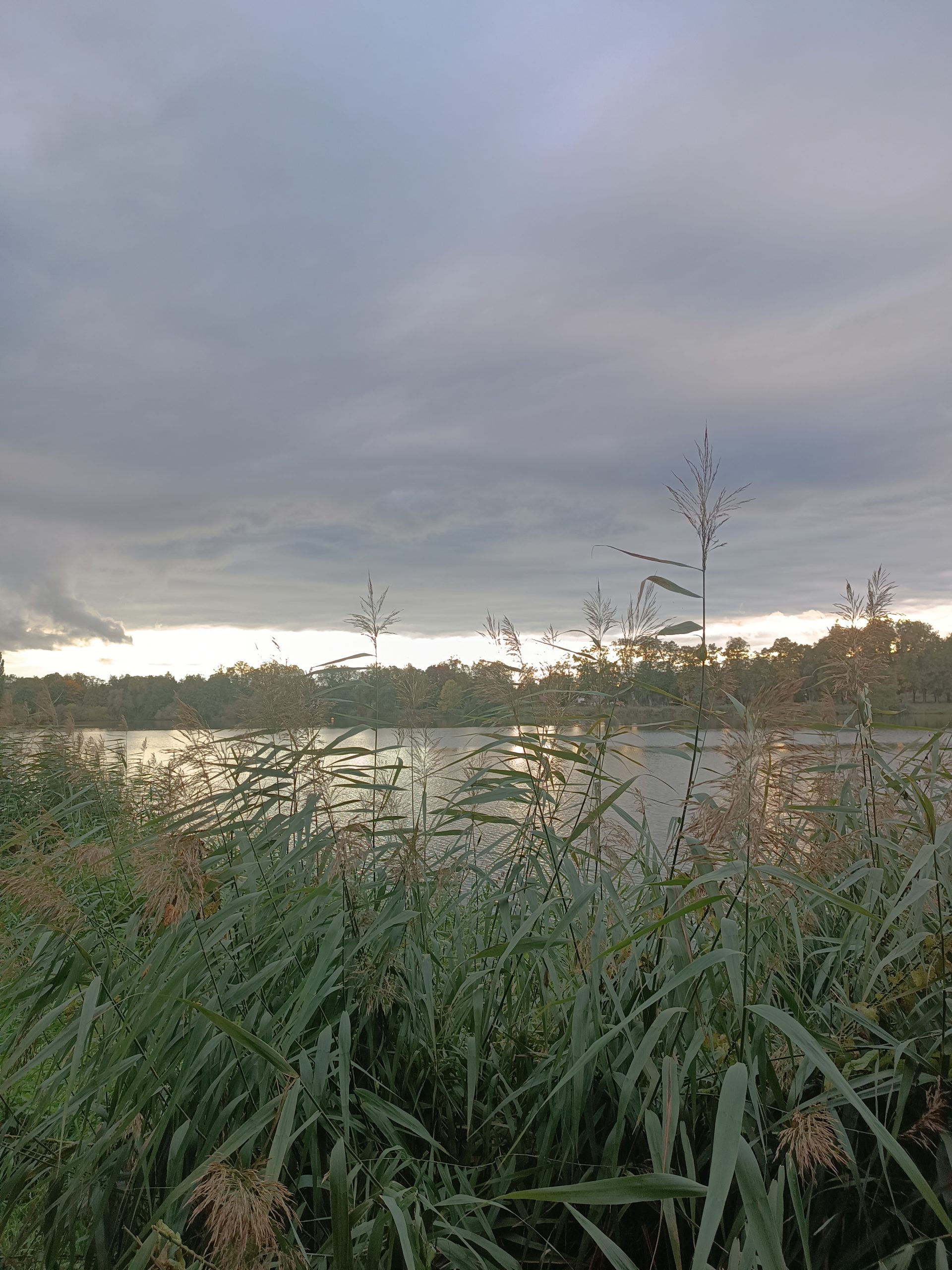 Home img-20251014-174546