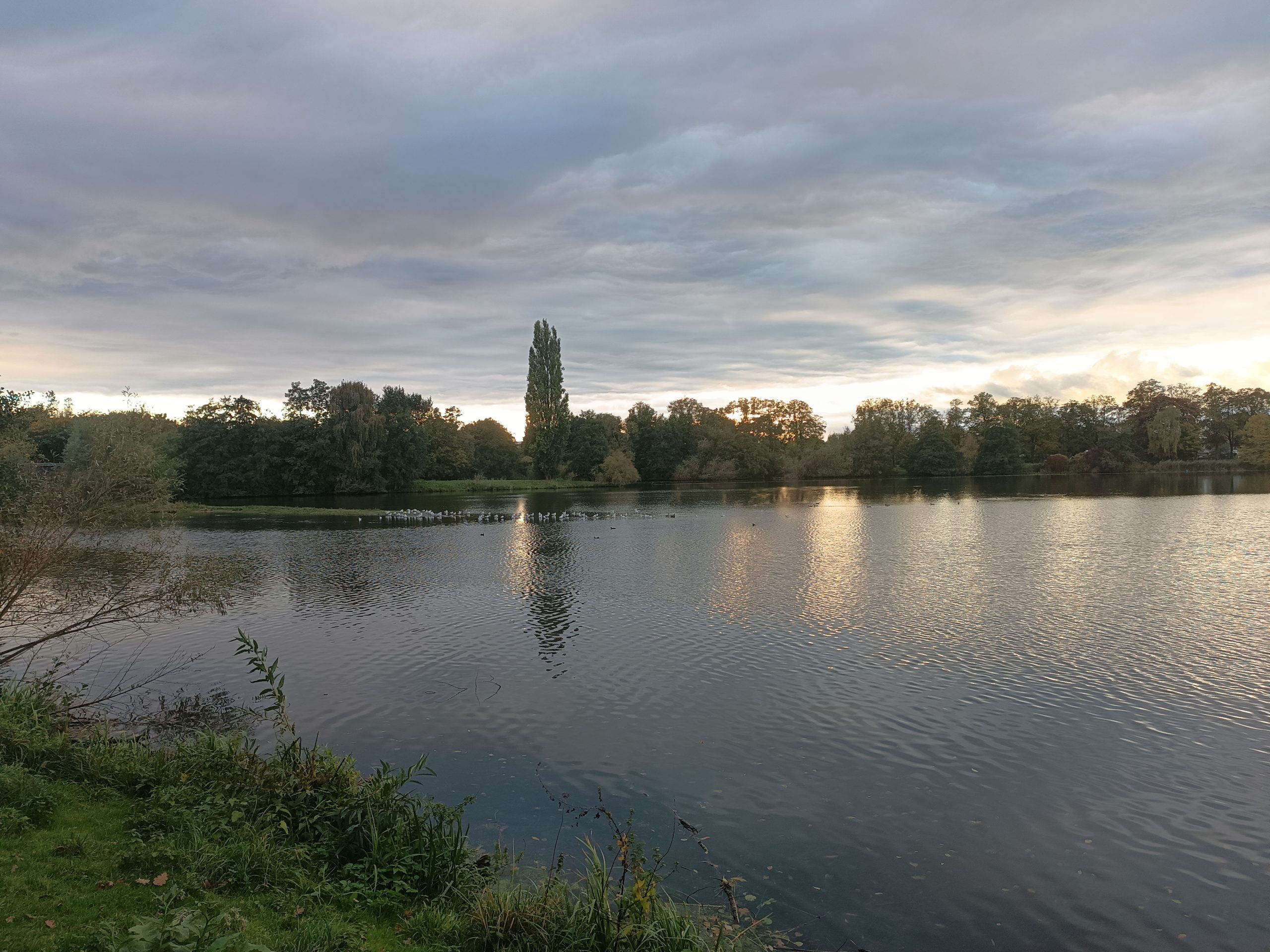 Home img-20251014-175029